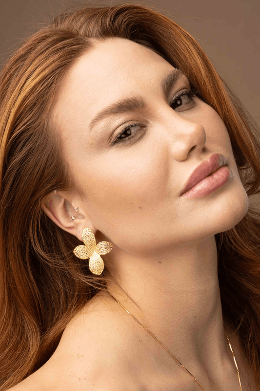 20950 -modelo-